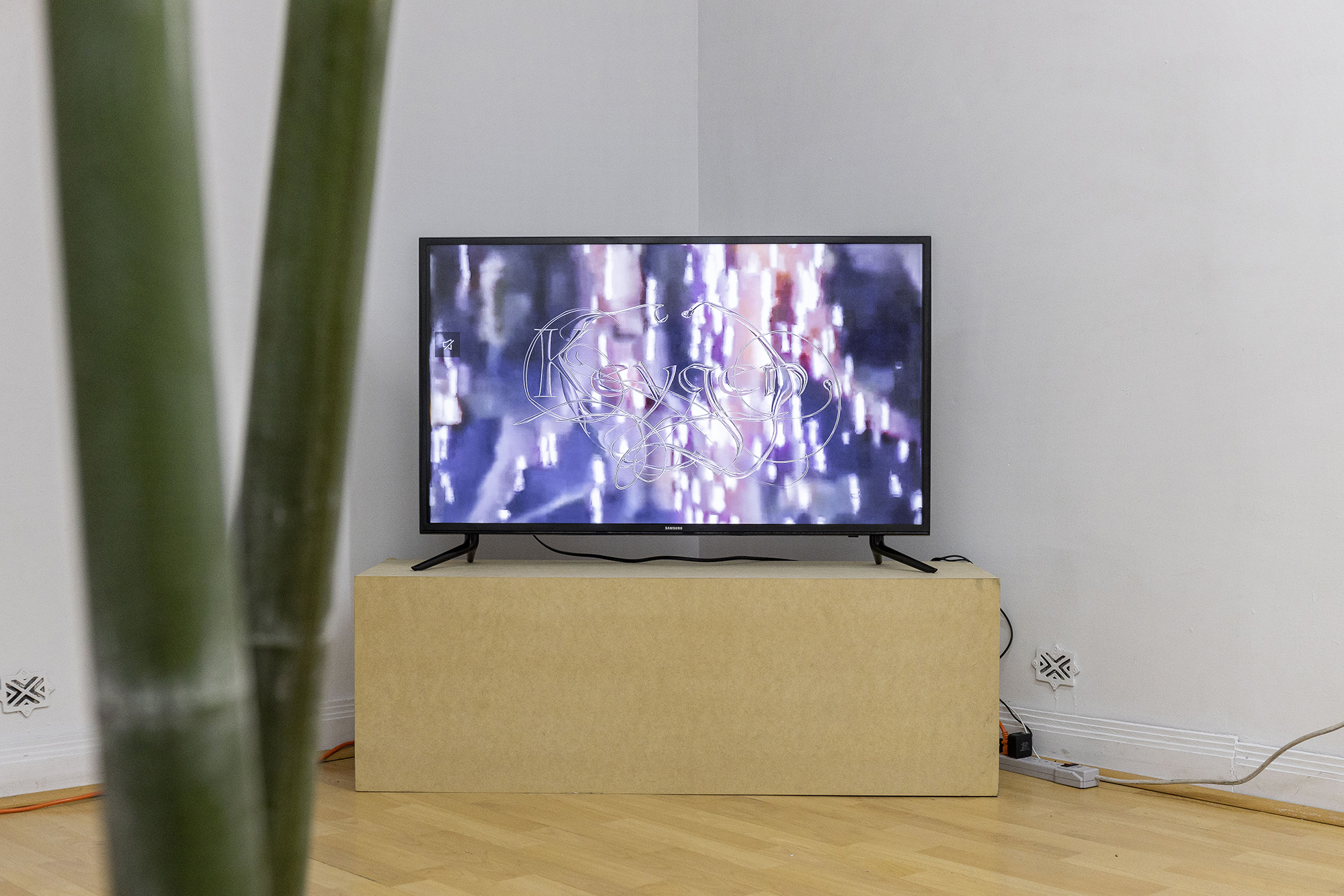 2022 02 Intelleaks, NASL, Mexico City — Kim Sollee During The Time The Banner Rotates 01 — Jeronim Horvat